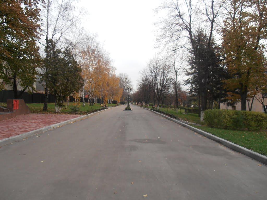 Кулиничі з panoramio.com - Кулиничі