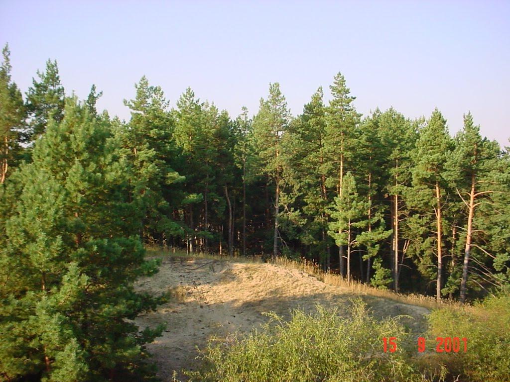 Вітове з panoramio.com - Витово