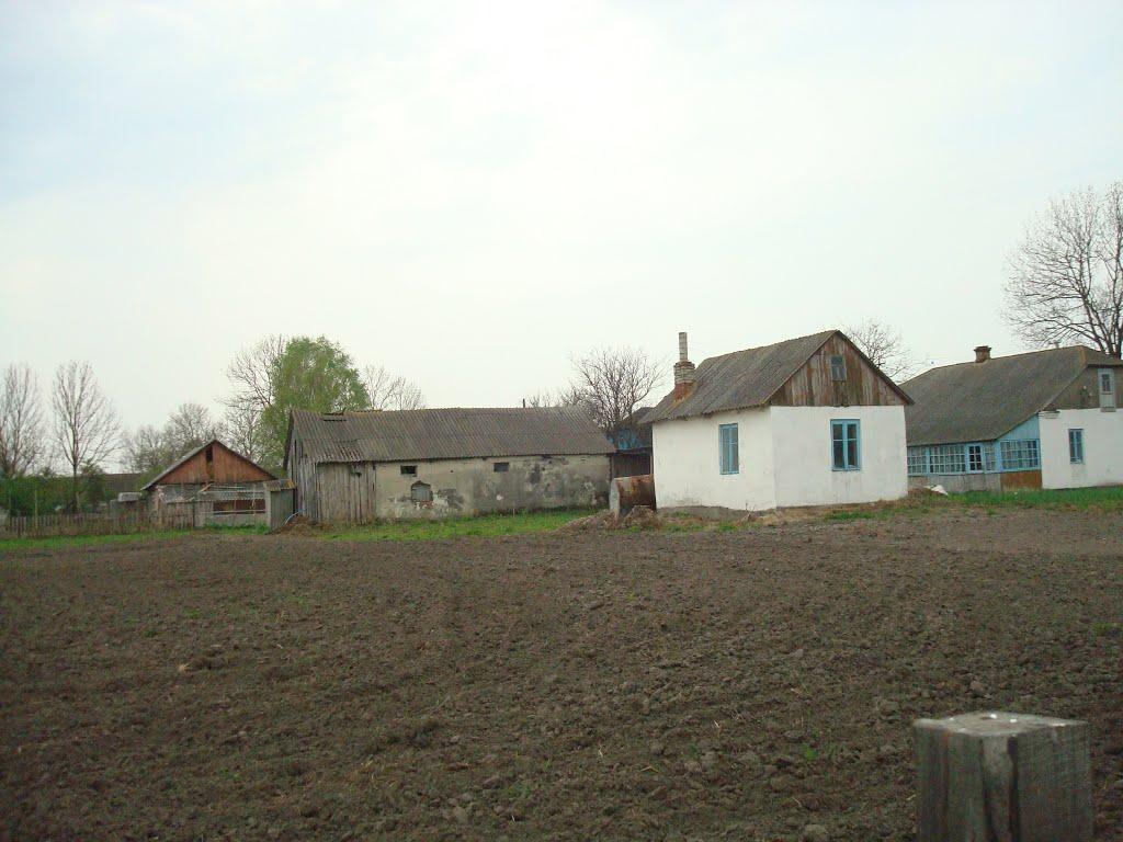 Дроздні з panoramio.com - Дроздни