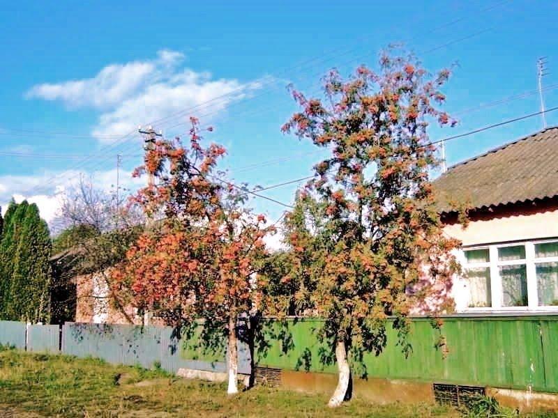 Бурімка з panoramio.com - Бурімка