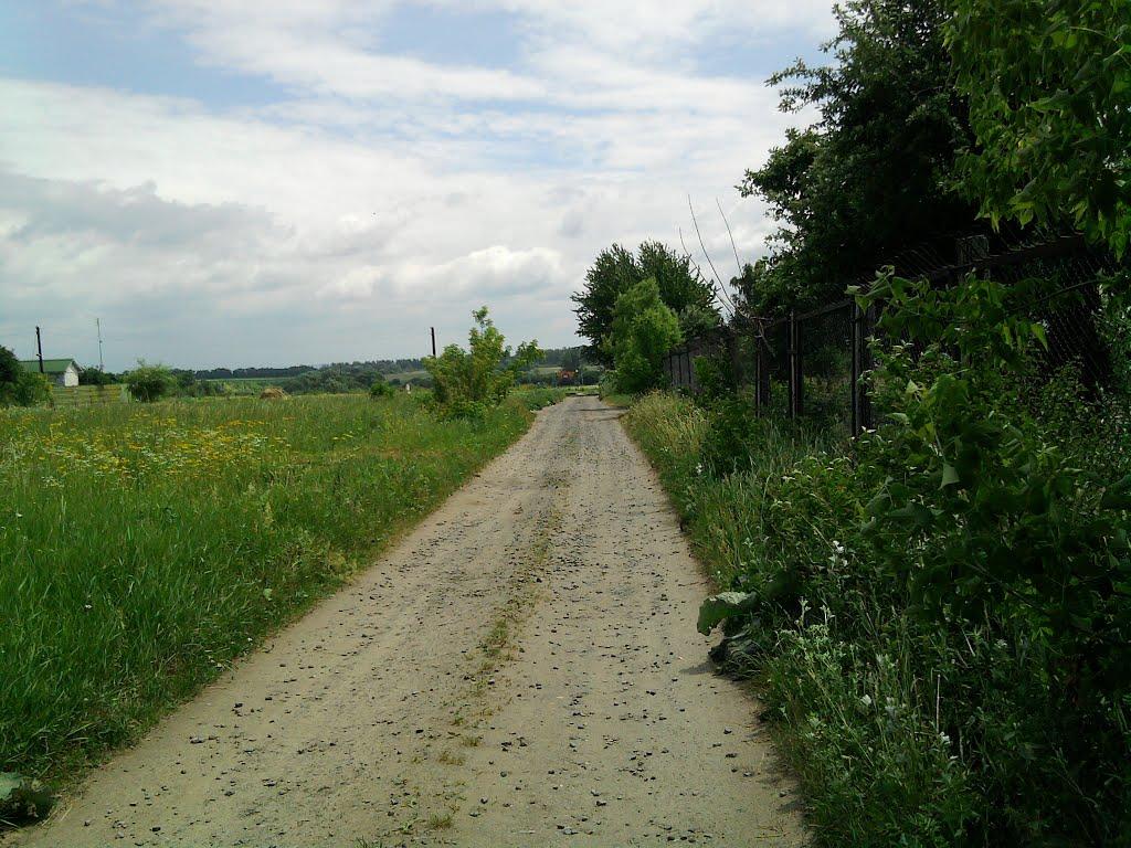 Винники з panoramio.com - Винники