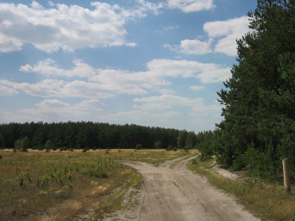 Діброво-Ленінське з panoramio.com - Діброво-Ленінське