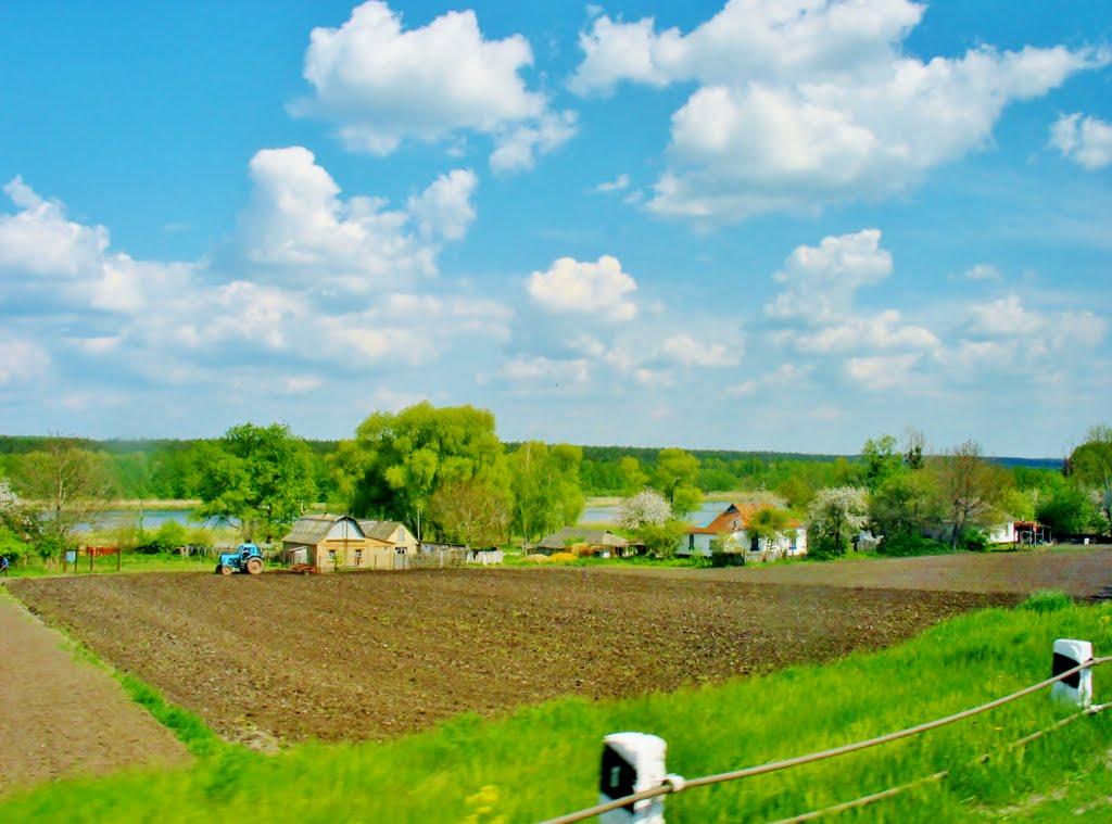 Неморож з panoramio.com - Nemorozh