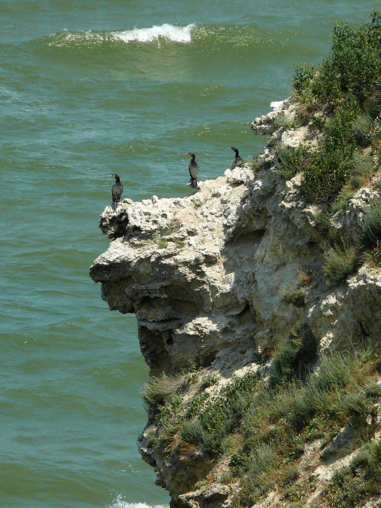 Уварове з panoramio.com - Уварово