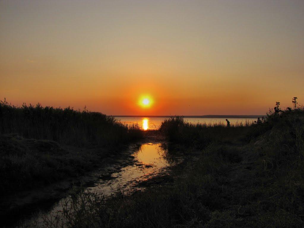 Їжицьке з panoramio.com - Їжицьке