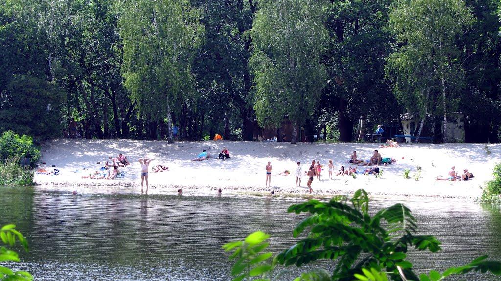 Кияшки з panoramio.com - Кияшки