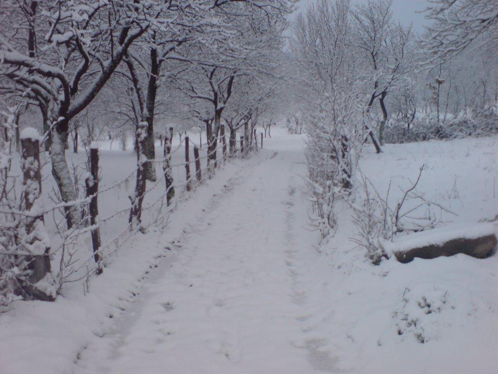 Яблунівка з panoramio.com - Яблоновка