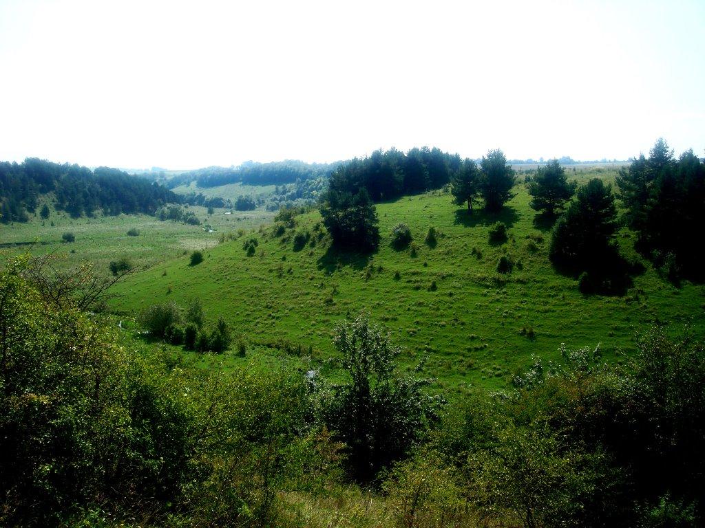Дем'янківці з panoramio.com - Дем'янківці