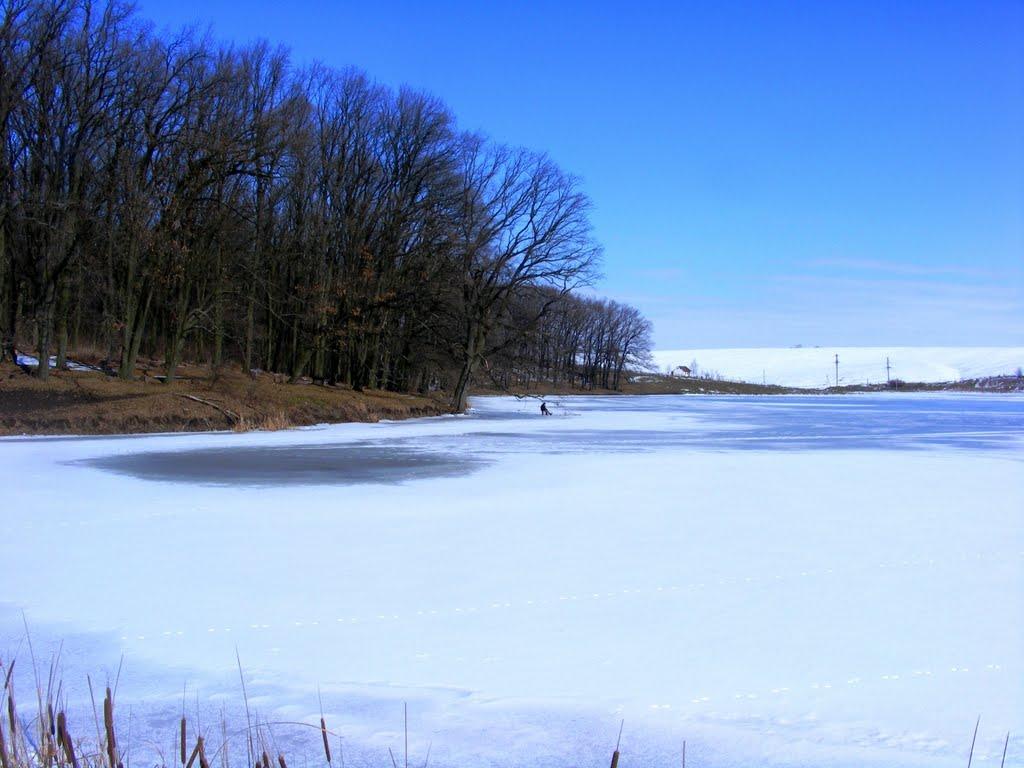 Жашків з panoramio.com - Жашків