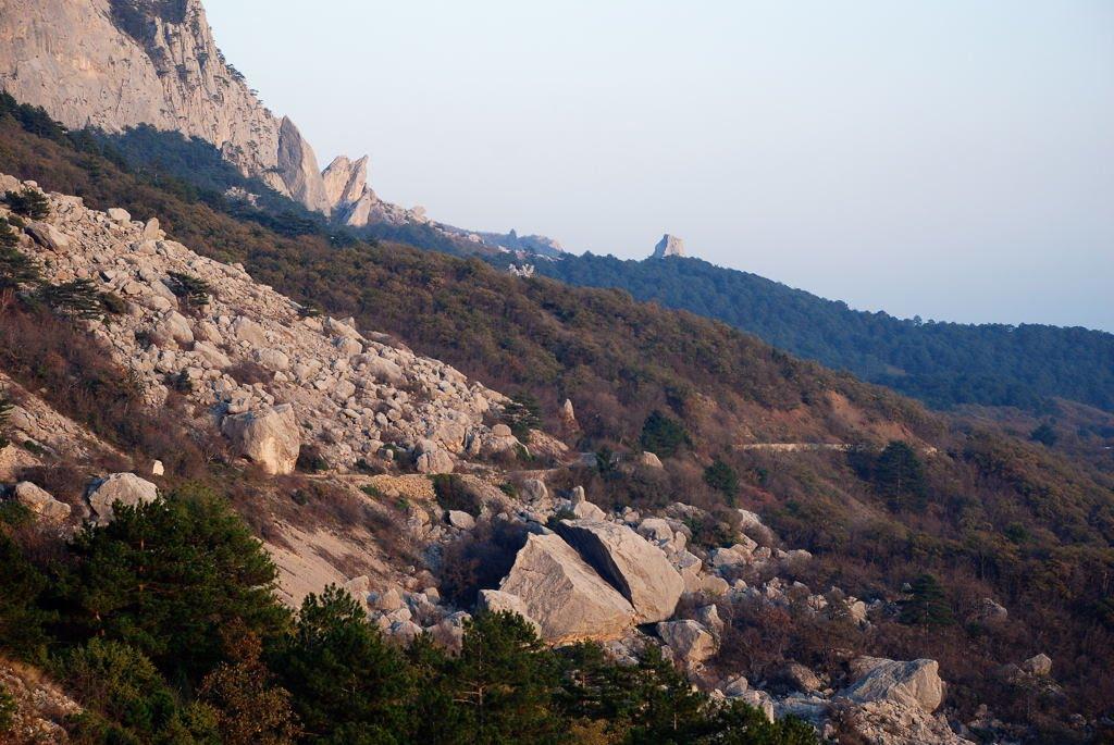 Олива з panoramio.com - Олива