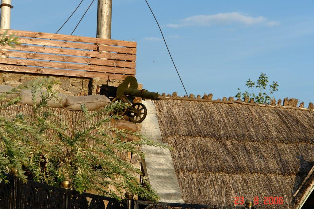 Піковець з panoramio.com - Піковець