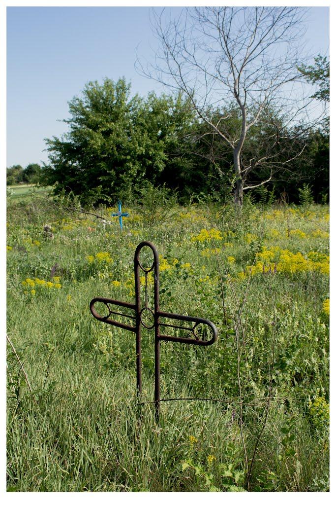 Соколова Балка з panoramio.com - Соколова Балка