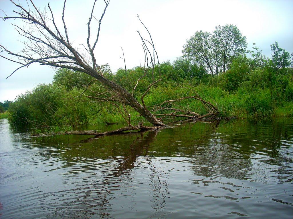 Рудокопи з panoramio.com - Рудокопи