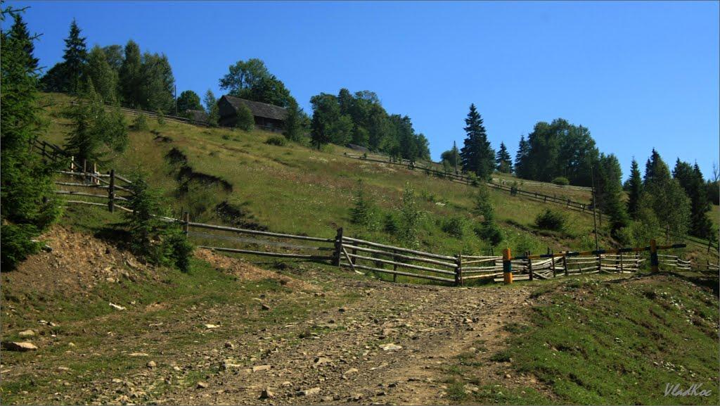 Береги з panoramio.com - Береги
