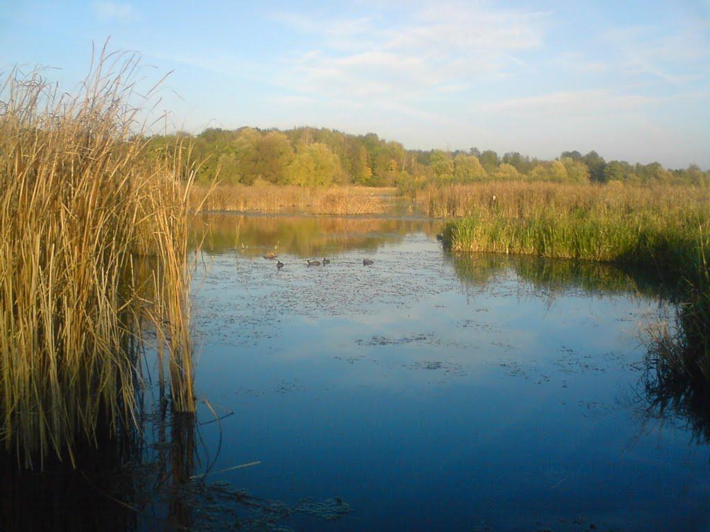 Ялтушків з panoramio.com - Ялтушков