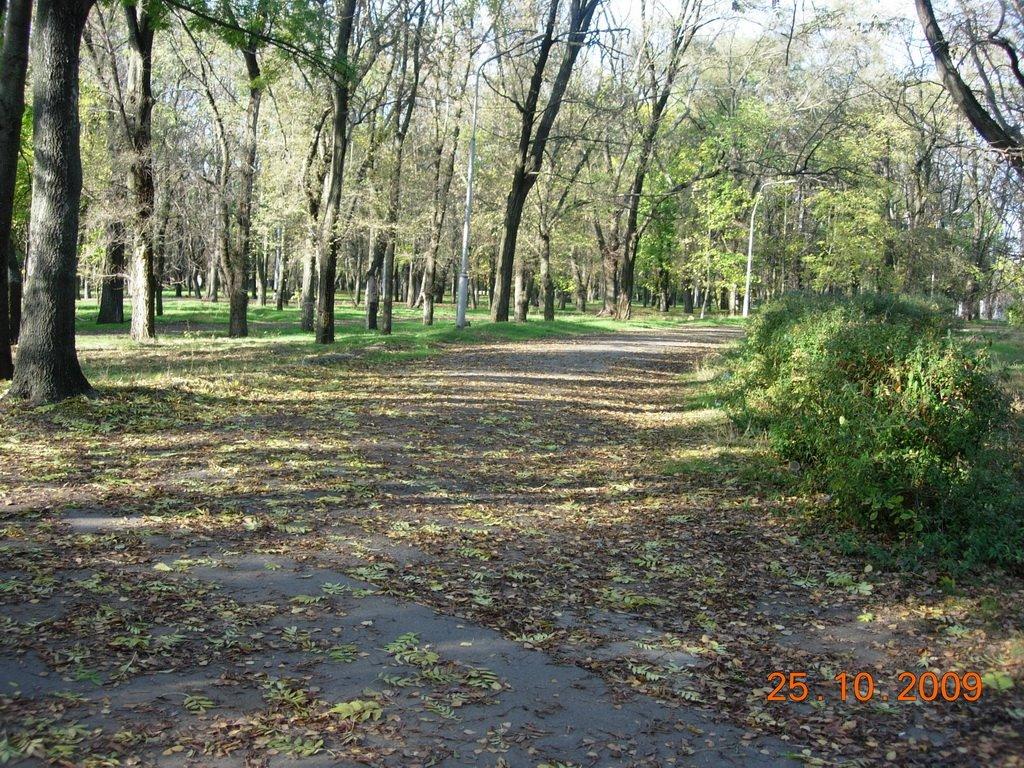 Менжинське з panoramio.com - Менжинское