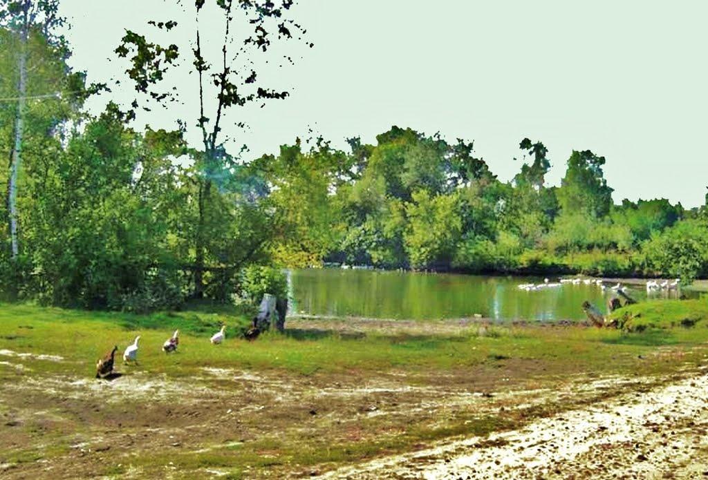 Бурімка з panoramio.com - Бурімка