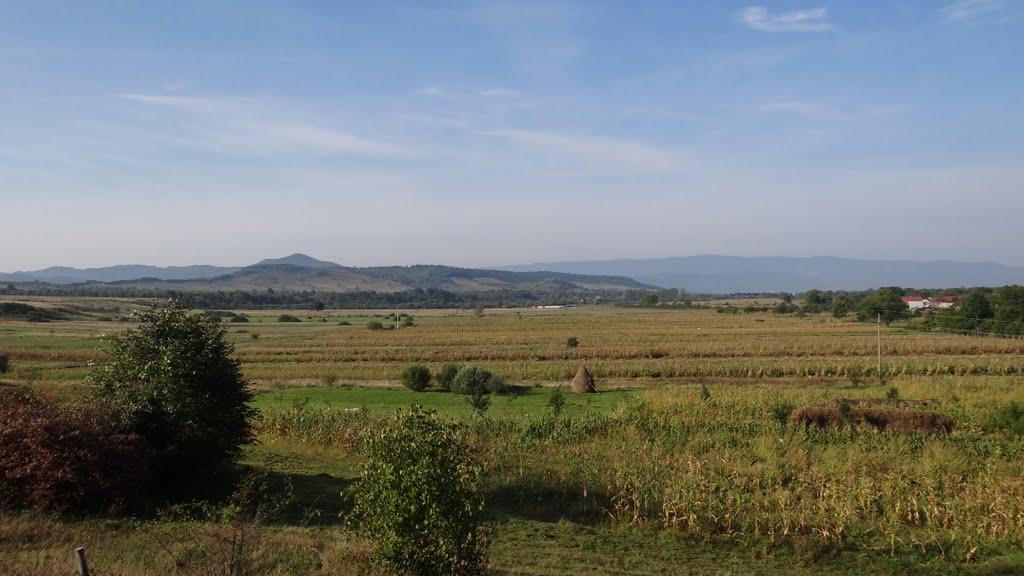 Великий Бичків з panoramio.com - Великий Бычков