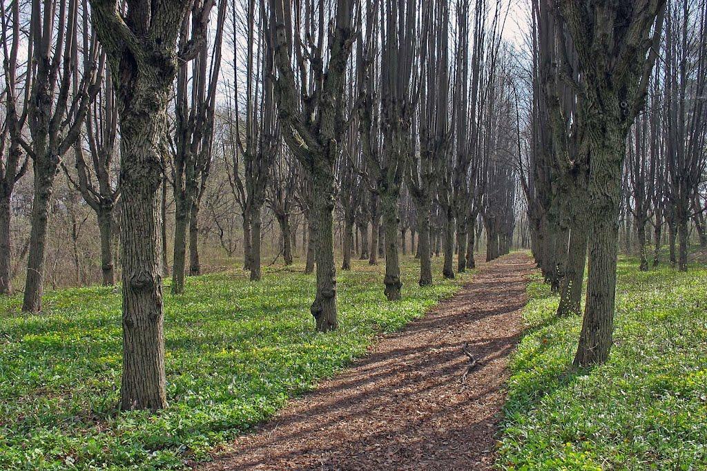 Шарівка з panoramio.com - Шаровка