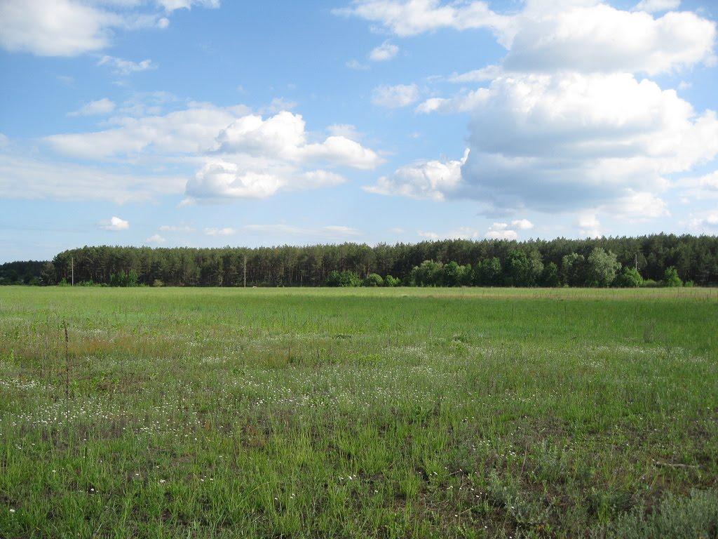 Лозівок з panoramio.com - Лозовок