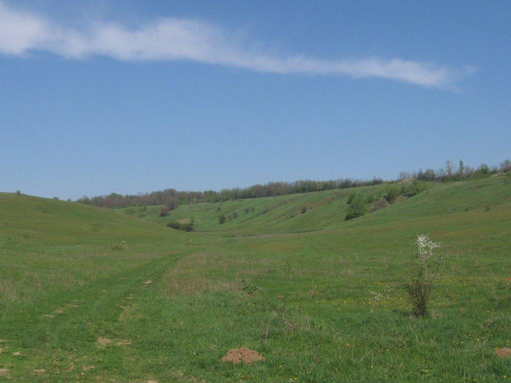 Краснокутськ з panoramio.com - Краснокутск