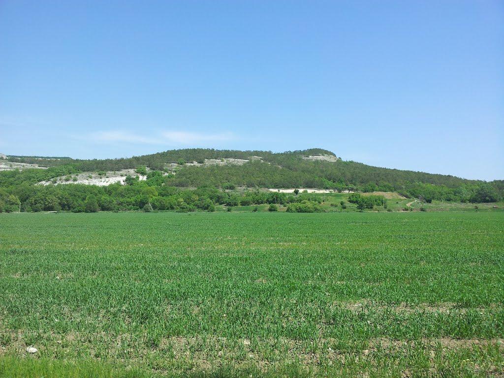 Каштанове з panoramio.com - Каштанове