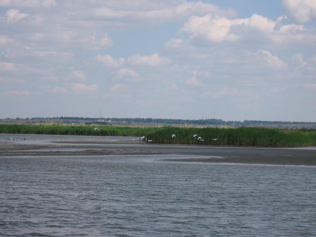 Білосарайська Коса з panoramio.com - Белосарайская Коса