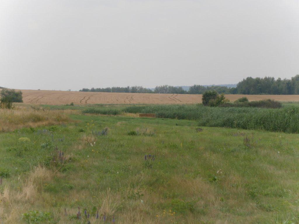 Булацелівка з panoramio.com - Булацелівка