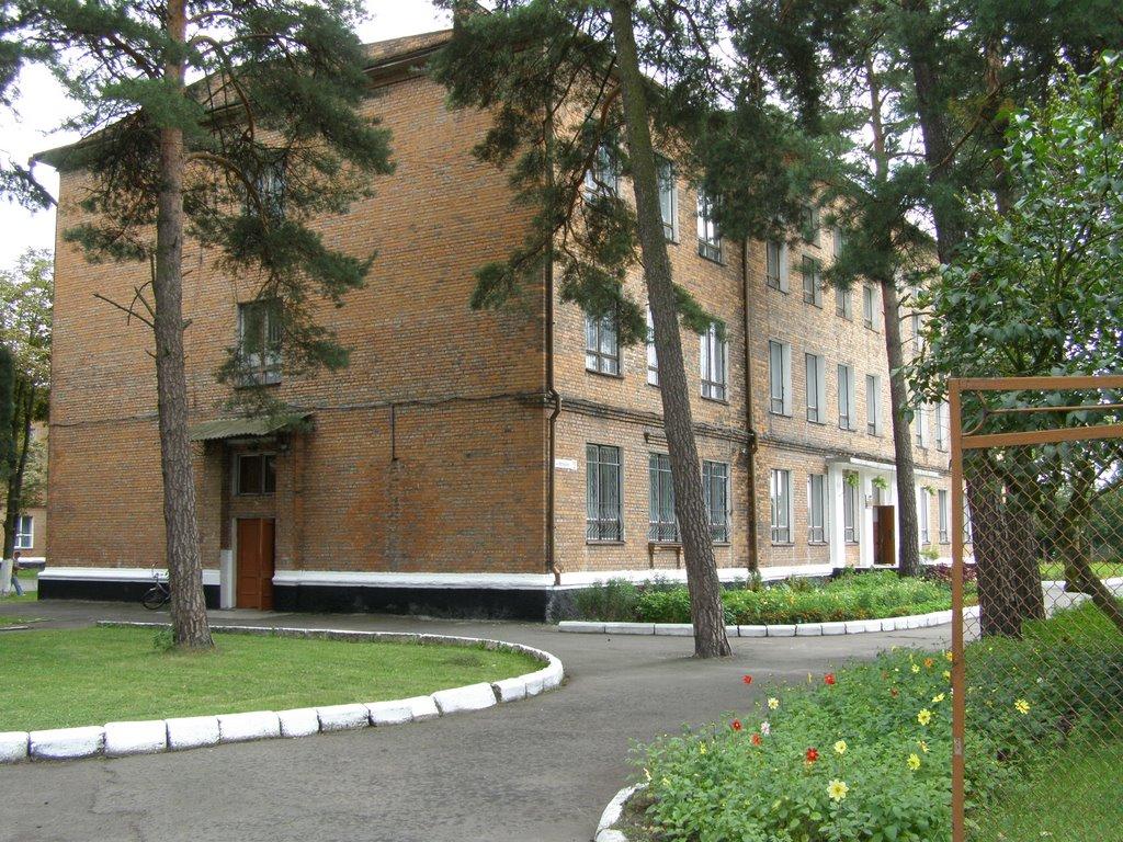 Соснівка з panoramio.com - Соснівка