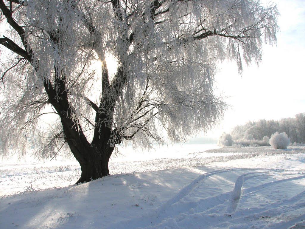 Куковичі з panoramio.com - Куковичи
