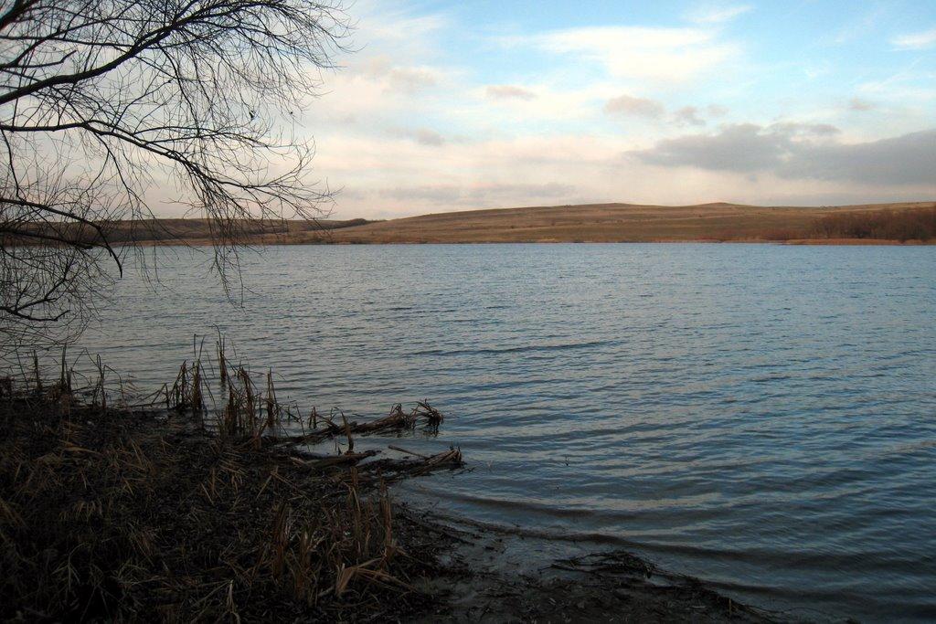 Маломиколаївка з panoramio.com - Маломиколаївка