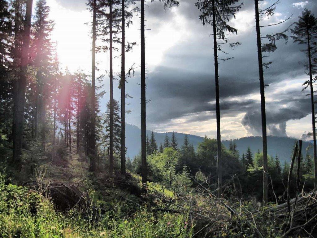 Долішній Шепіт з panoramio.com - Долишний Шепот