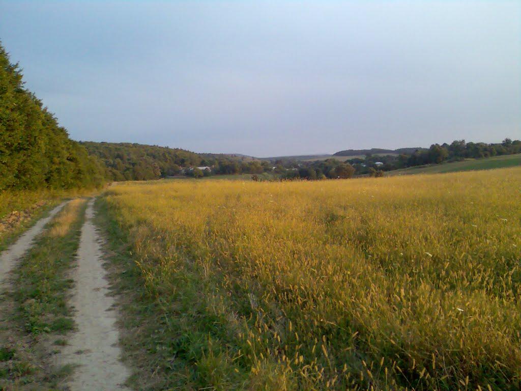 Саджівка з panoramio.com - Саджівка