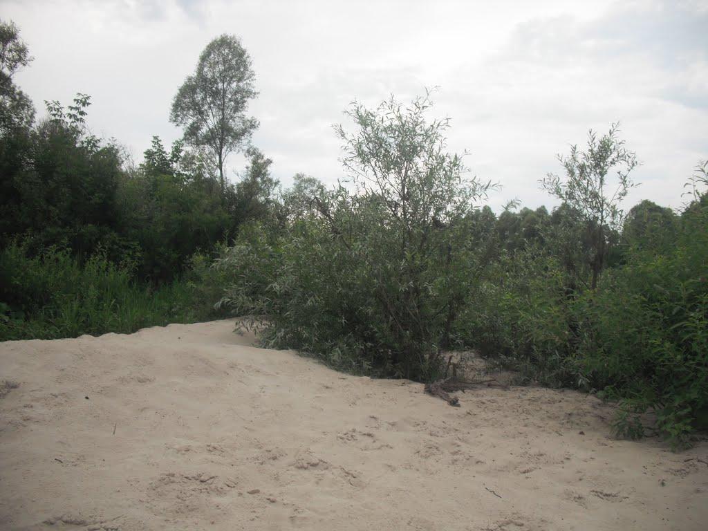 Любитове з panoramio.com - Любитово
