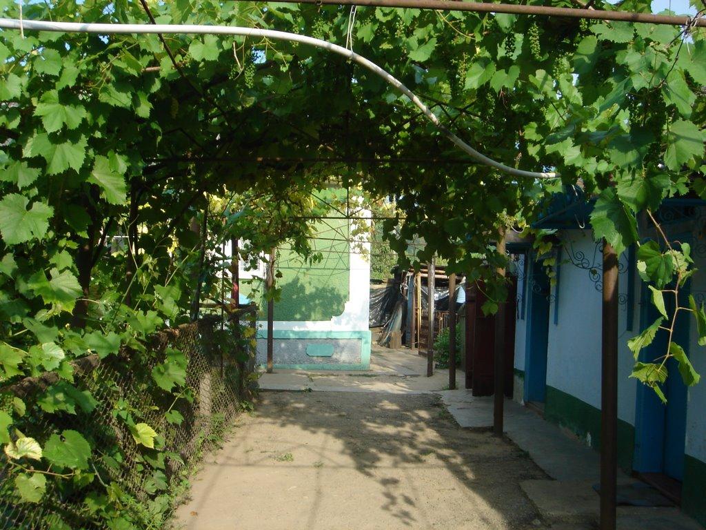 Волошкове з panoramio.com - Волошкове