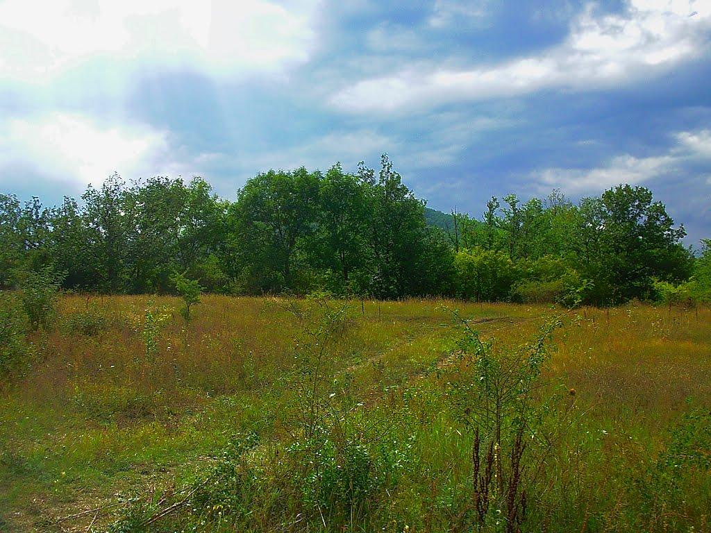 Щасливе з panoramio.com - Schaslyve
