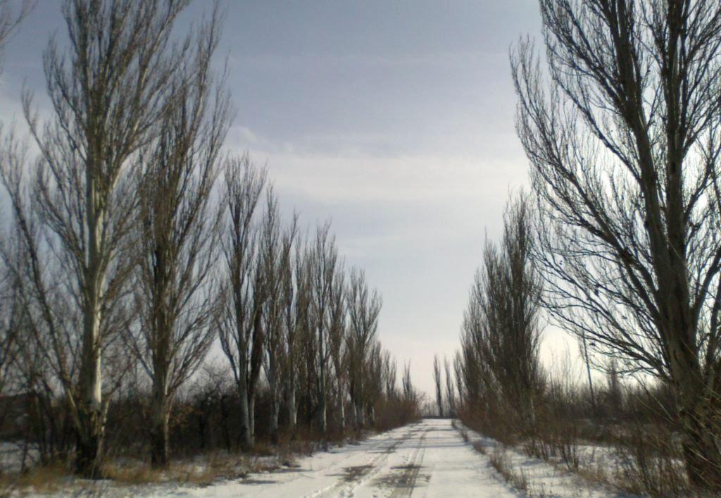 Зайцеве з panoramio.com - Зайцеве