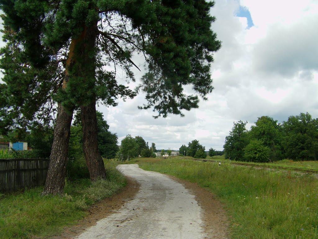 Свеса з panoramio.com - Свеса