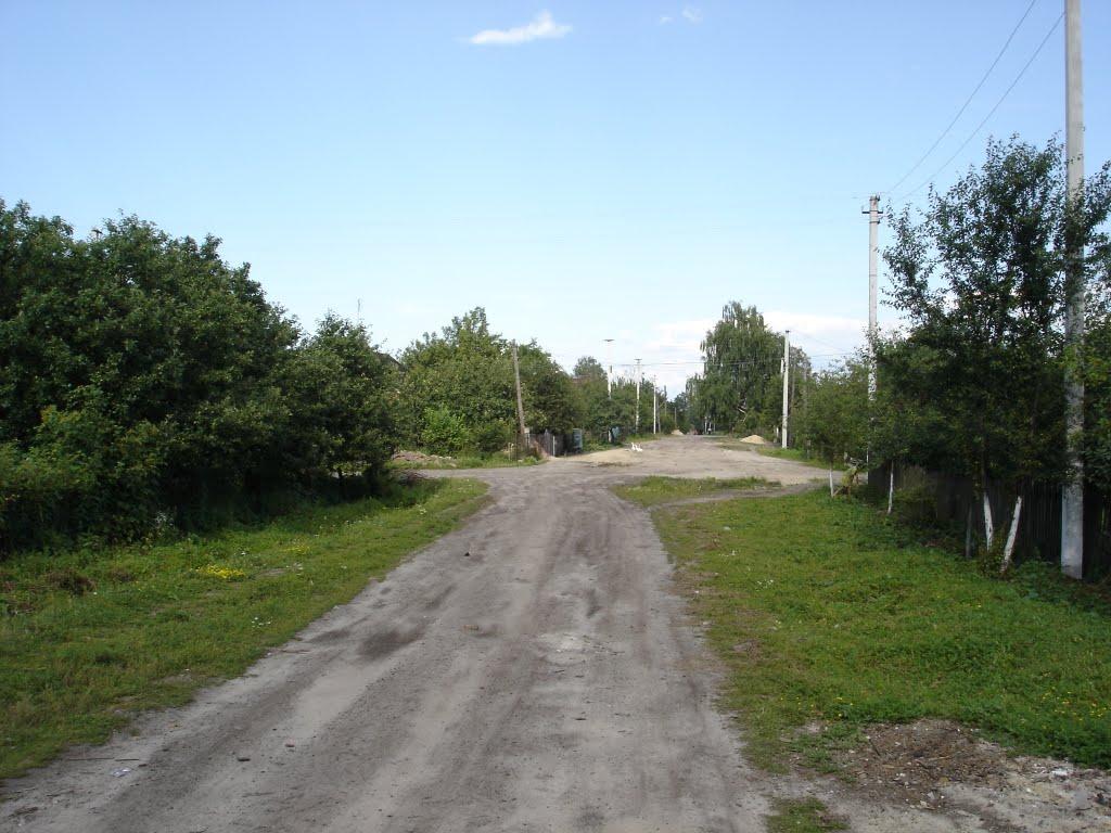 Глушицьке з panoramio.com - Глушицьке