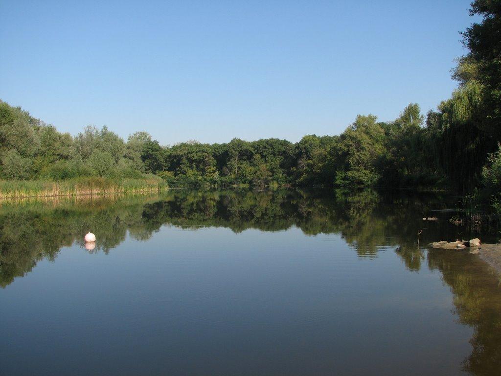 Кияшки з panoramio.com - Кияшки
