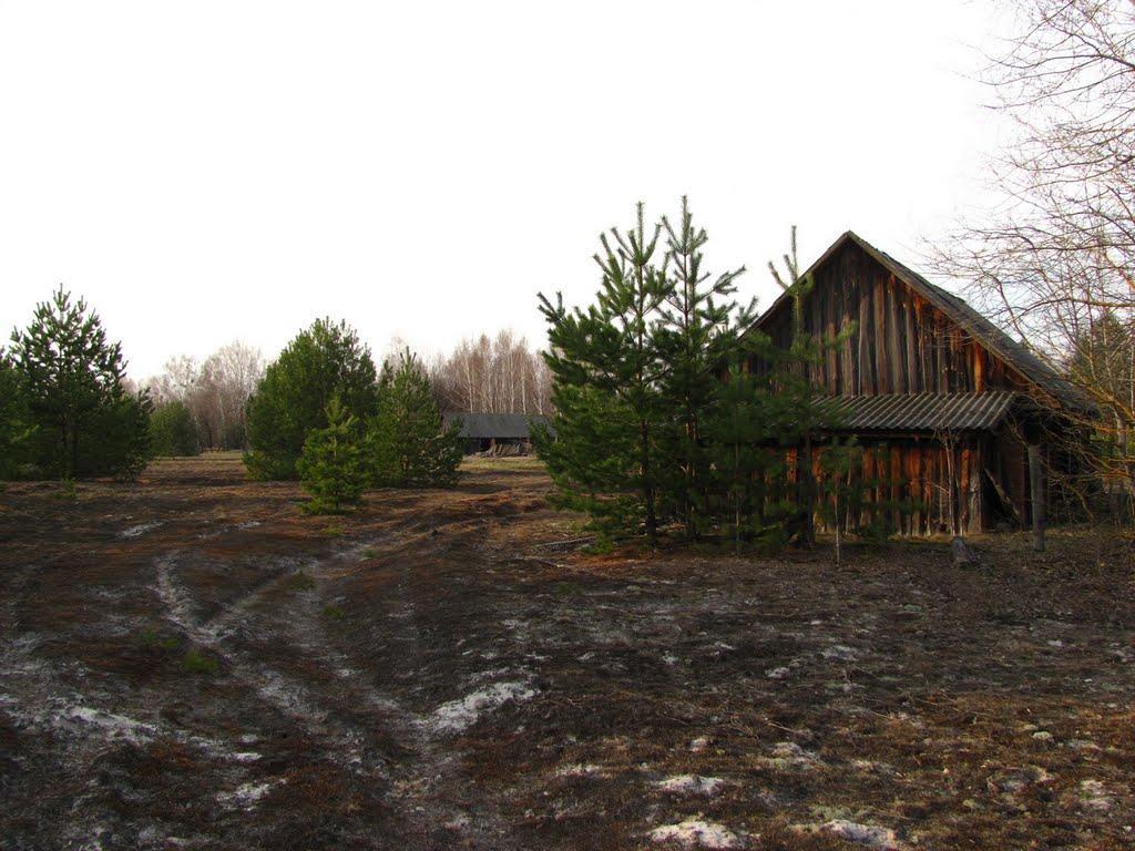 Дитятки з panoramio.com - Дитятки