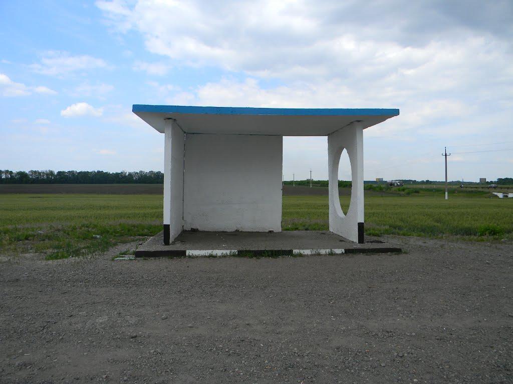 Білозір'я з panoramio.com - Белозерье