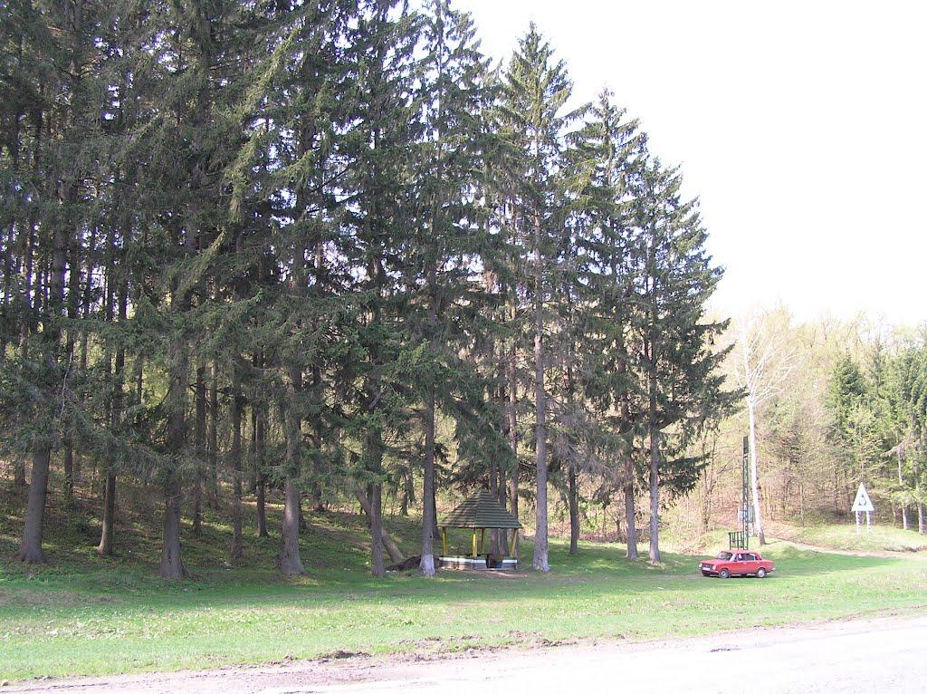 Рахни Лісові з panoramio.com - Рахни Лісові