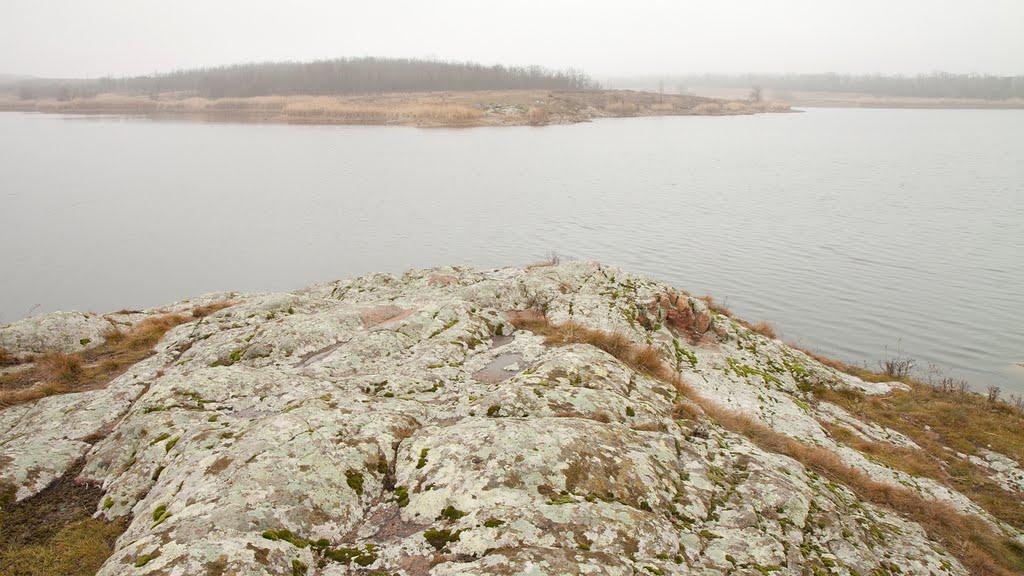 Кузнецово-Михайлівка з panoramio.com - Кузнецово-Михайлівка