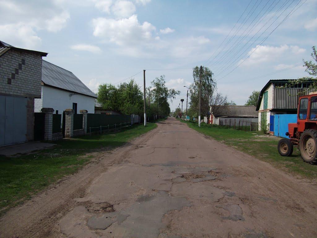 Виблі з panoramio.com - Виблі