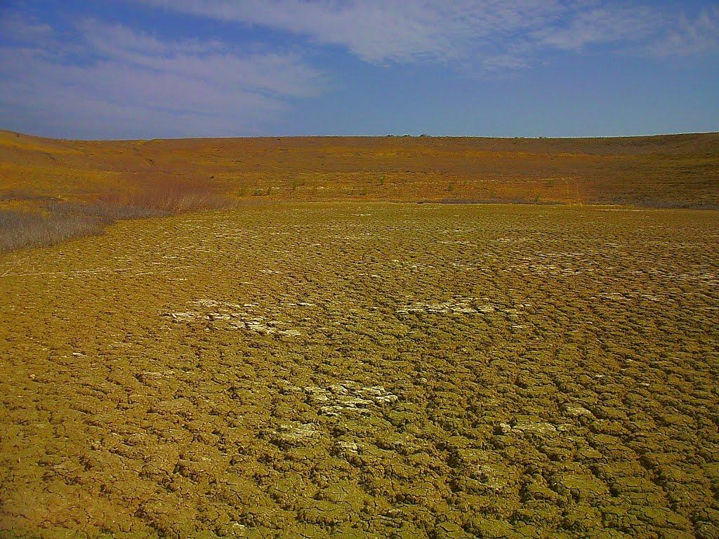 Каштани з panoramio.com - Каштани