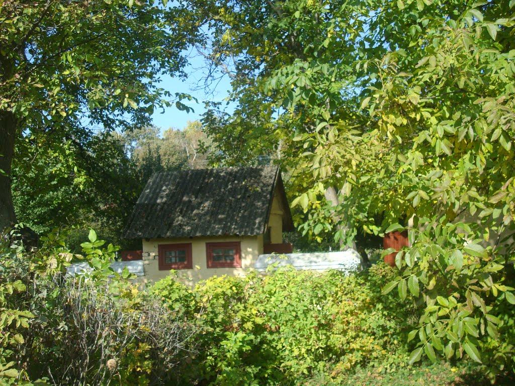 Лісоводи з panoramio.com - Лесоводы