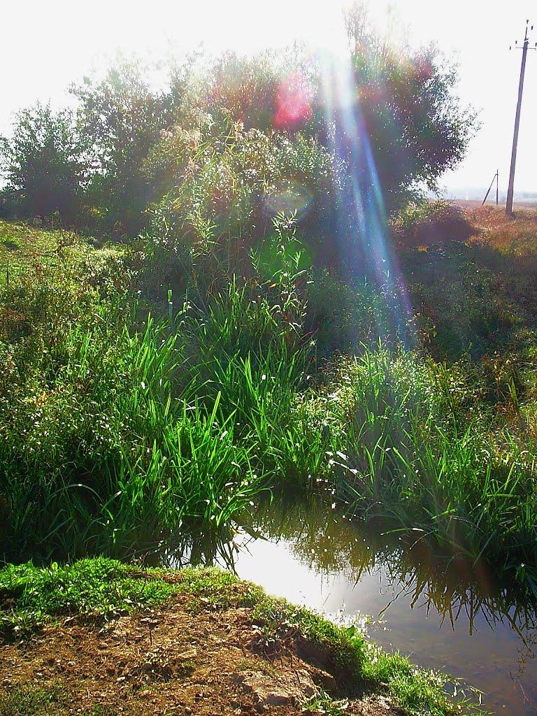 Розсадне з panoramio.com - Rozsadne