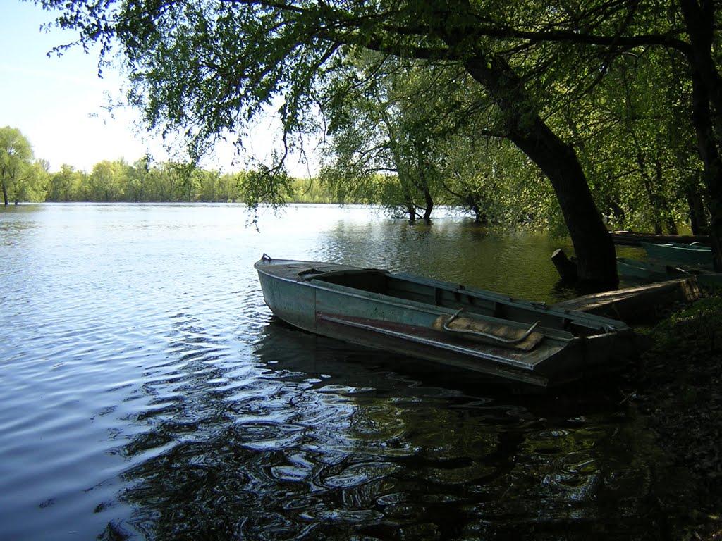 Макошине з panoramio.com - Макошино