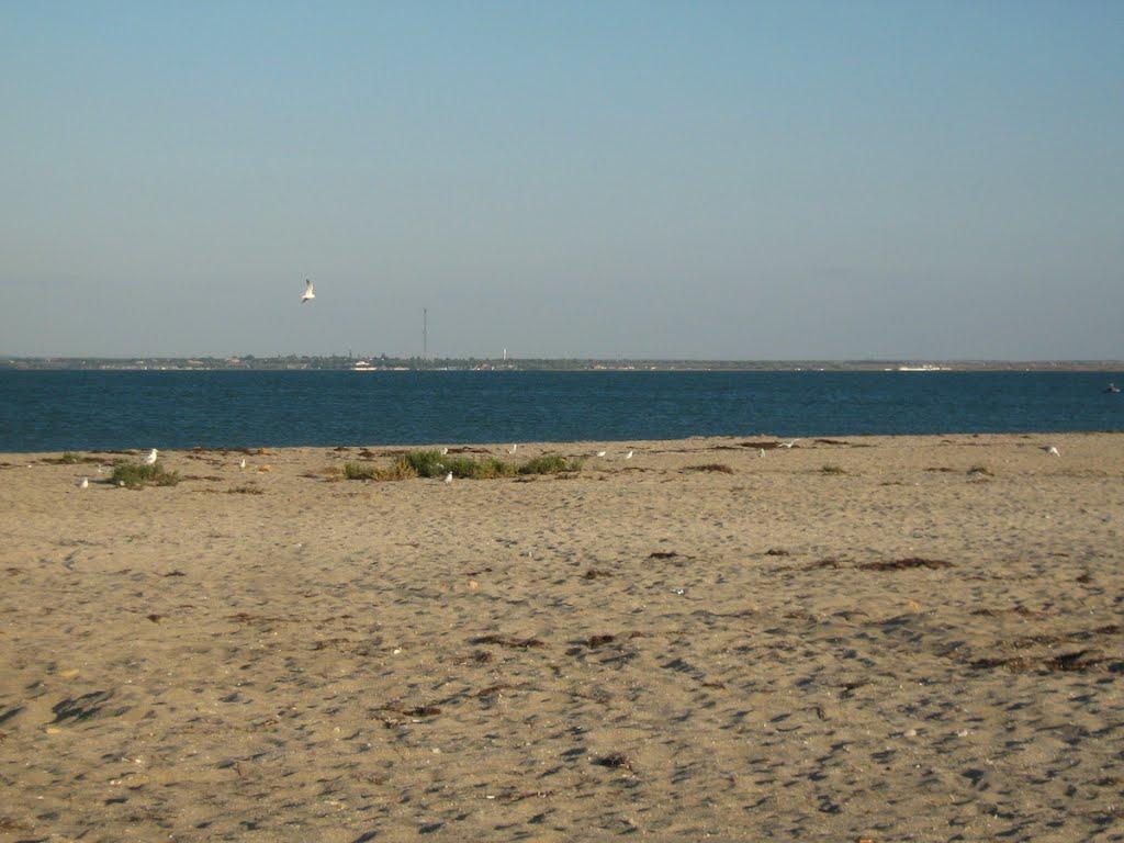 Стерегуще з panoramio.com - Steregusche